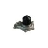 واتر پمپ رودیوس