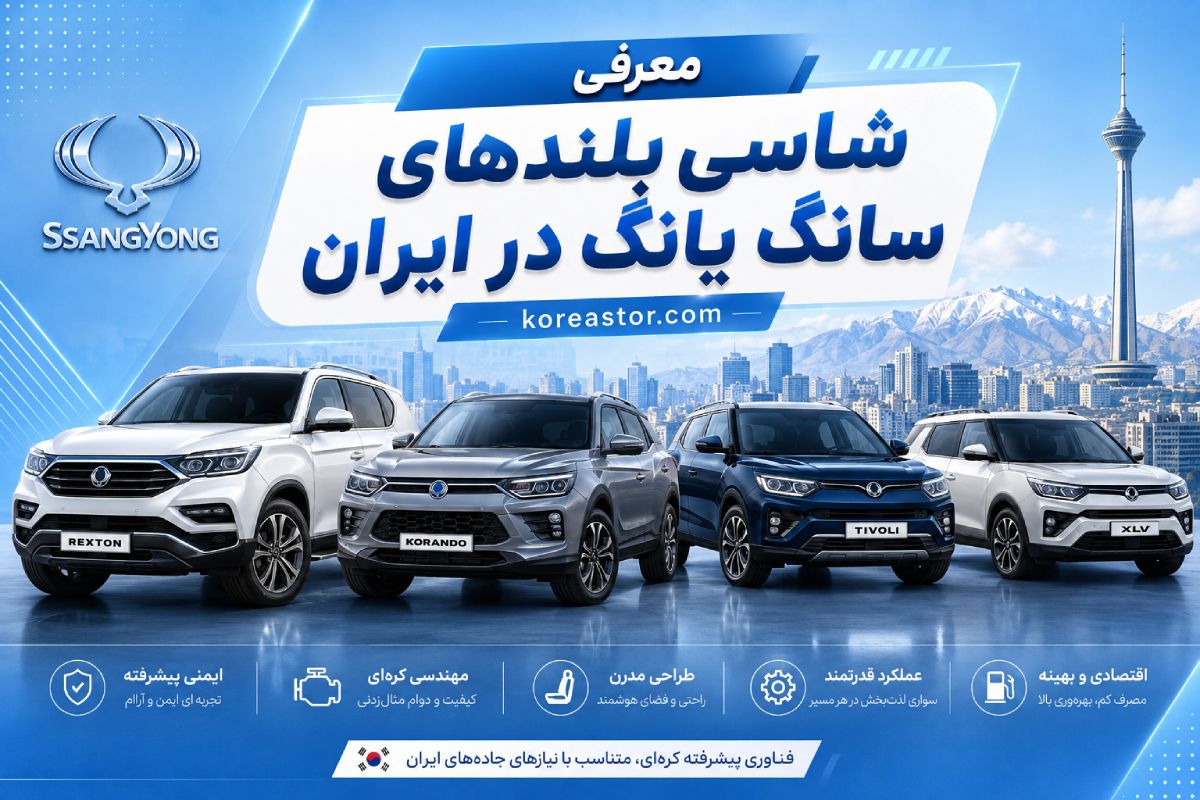 انواع مدل های سانگ یانگ در ایران
