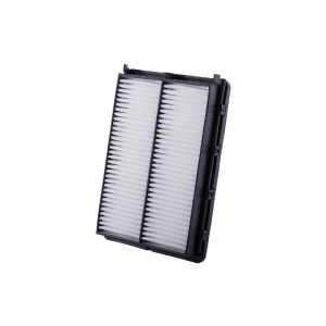 فیلتر کابین رودیوس